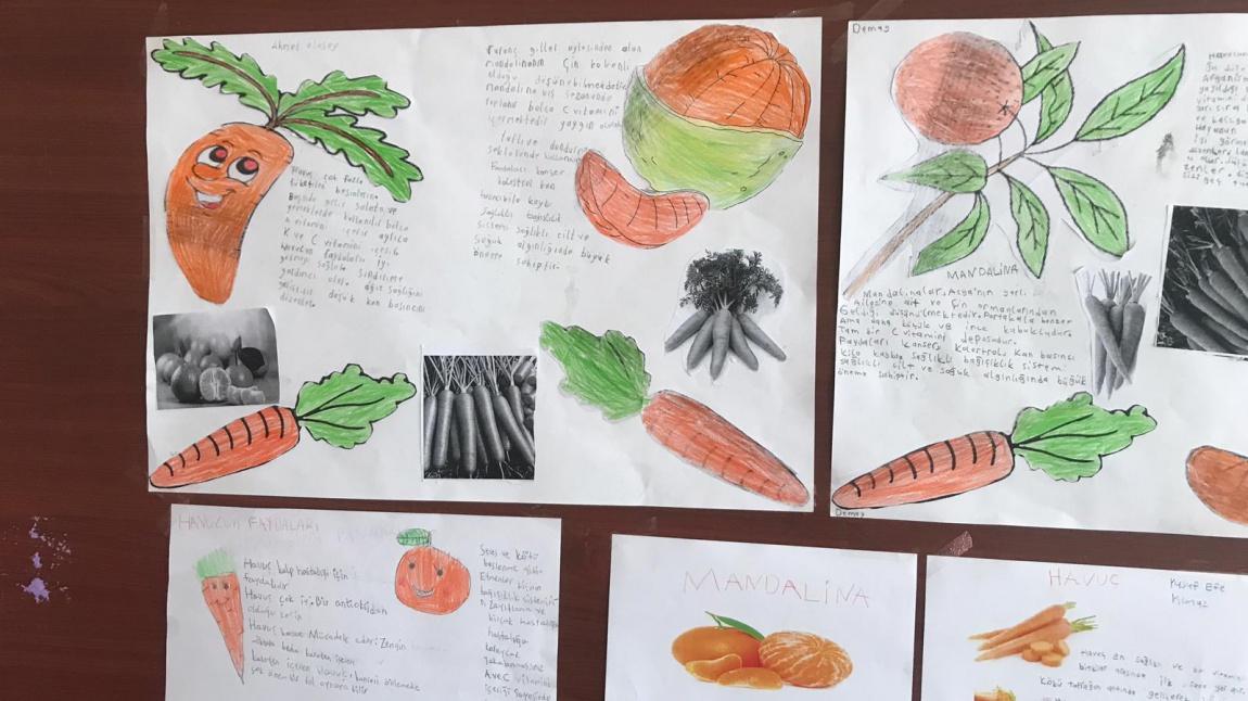 Beslenme Dostu Okul Projesi Kasım Ayı Etkinlikleri
